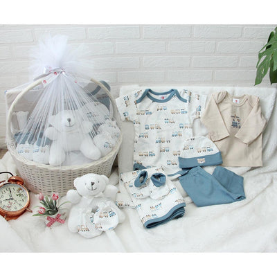 11 Pcs Baby Gift Basket