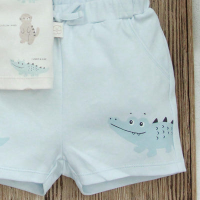 2 Pcs Set