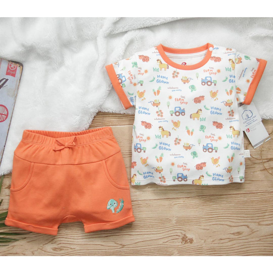 2 Pcs Set